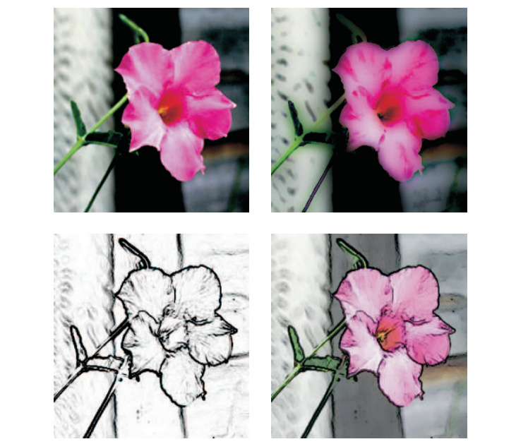 图12.5：使用像素着色器进行图像处理操作。其中左上角为原始图像，在其基础上进行了各种处理。右上角为高斯差分运算（Gaussian difference operation），左下角为边缘检测，右下角为边缘检测与原始图像混合后的合成图像。