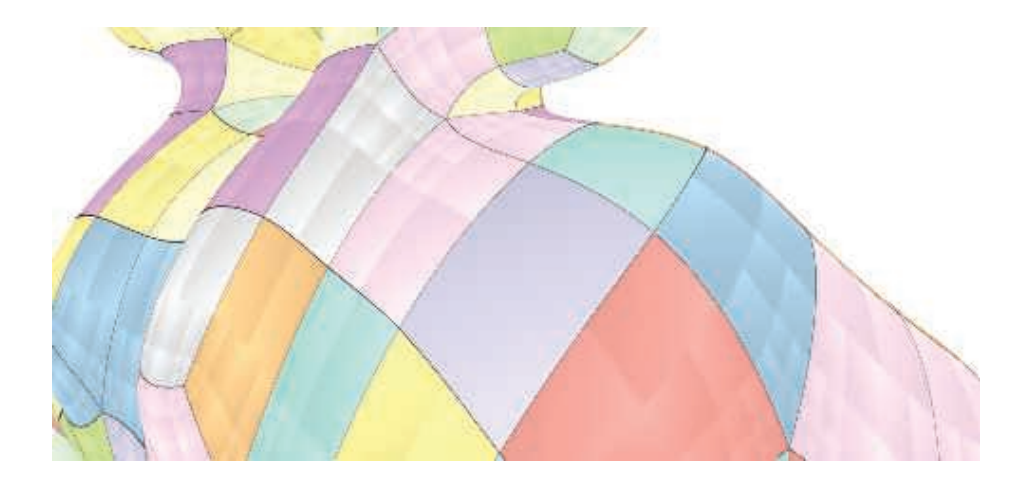 图17.70：使用了自适应四叉树的细分面片。每个面片都有一个对应的基础网格面片，在图中使用黑色曲线进行表示，每个面片内部的分层结构说明了细分步骤。我们可以看到，在中心有一个颜色均匀的面片（灰紫色）。这意味着它被渲染为一个双三次B样条面片，而其他（具有特殊顶点）的面片则清楚地展示了其潜在的自适应四叉树结果。