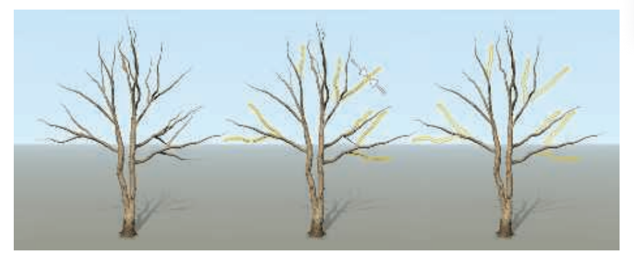 图19.30:当观察者离开树木模型时,模型的树枝(以及树木的叶子,图中并没有显示出来)会被缩小,然后最终被移除。