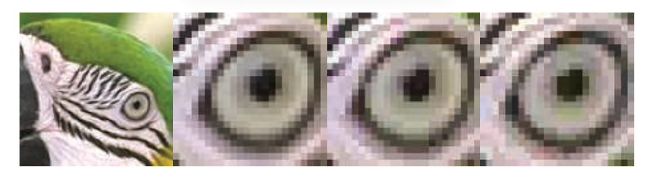 图19.42:展示了转换的质量。从左到右分别是:原始的部分鹦鹉图像;对原始图像眼睛放大结果(24bit/像素);ETC压缩图像(4bit/像素);压缩后的ETC图像(1.21bit/像素)。