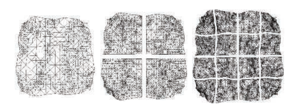 图19.47:地形的分块LOD表示。