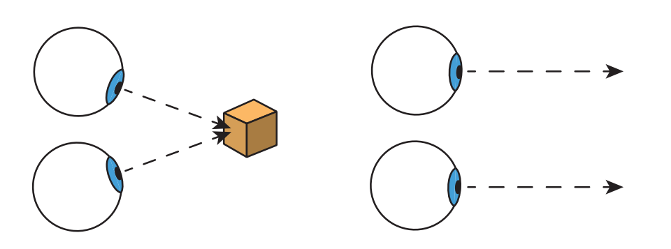 图21.4：两个眼睛需要旋转多少角度才能看到一个物体，这就是会聚（vergence）。其中会聚现象（convergence）指的是眼睛向内聚焦在同一个物体上的运动，如左侧所示。而发散现象（divergence）指的是当眼睛改变视线，去观察远处物体时向外的运动，如右侧所示。在观察远处物体的时候，眼睛的视线实际上是平行的。