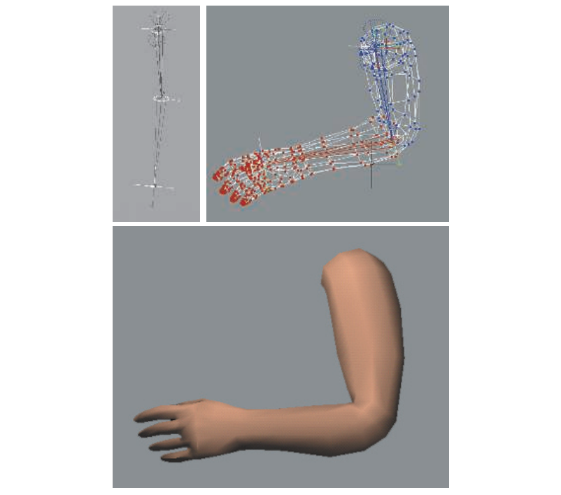 图4.12：顶点混合的一个真实案例。左上角的图展示了这个手臂的两个骨骼，此时手臂处于伸展状态。右上角的图展示了手臂的顶点和网格模型，其中使用颜色标注了该顶点属于哪个骨骼。在底部的图中，被着色处理的手臂处于一个稍微不同的位置，呈弯曲状态。 [968]