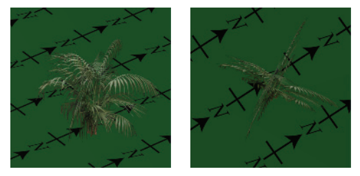 图6.28：从离开地面一点的地方来观察这个“交叉树”灌木，这种视错觉就消失了。