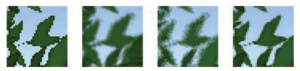 图6.31：使用不同技术进行渲染的叶子纹理，在叶子的边缘部分使用了alpha覆盖。从左到右分别是：alpha测试，alpha混合，Alpha To Coverage，Alpha To Coverage+边缘锐化。 [557]