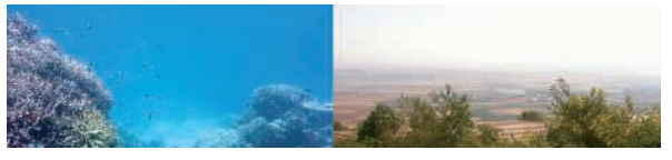 图9.7：左图中：在超过几米的范围内，水会对光产生强烈的吸收作用，尤其是红光，因此整体看起来会很蓝。右图中：光在没有严重空气污染或者雾的情况下，也会在数英里尺度的空气中发生散射。